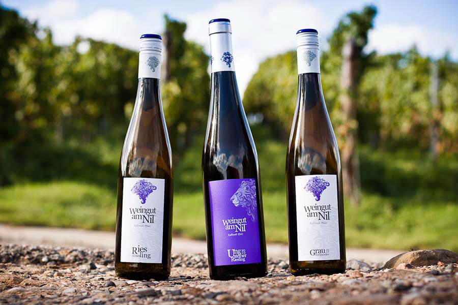 Die Weine vom Weingut am Nil Die Weine vom Weingut am Nil