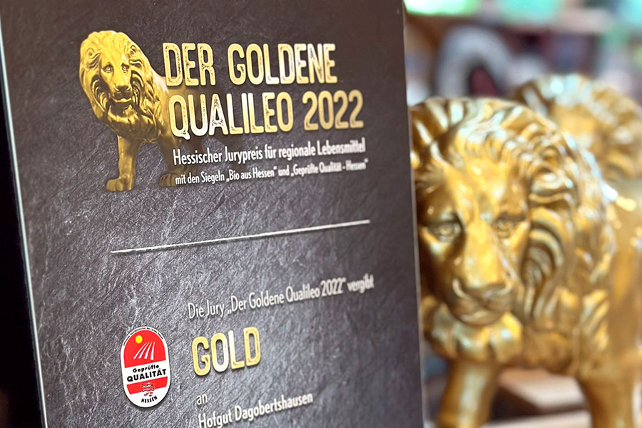 Der goldene Qualileo 2022